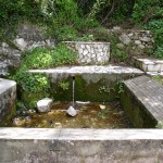 DSC02893