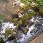 DSC02907