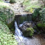 DSC02924
