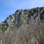 DSC02939